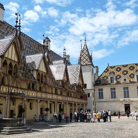 Cosy Chouette Apartment Dijon Luaran gambar